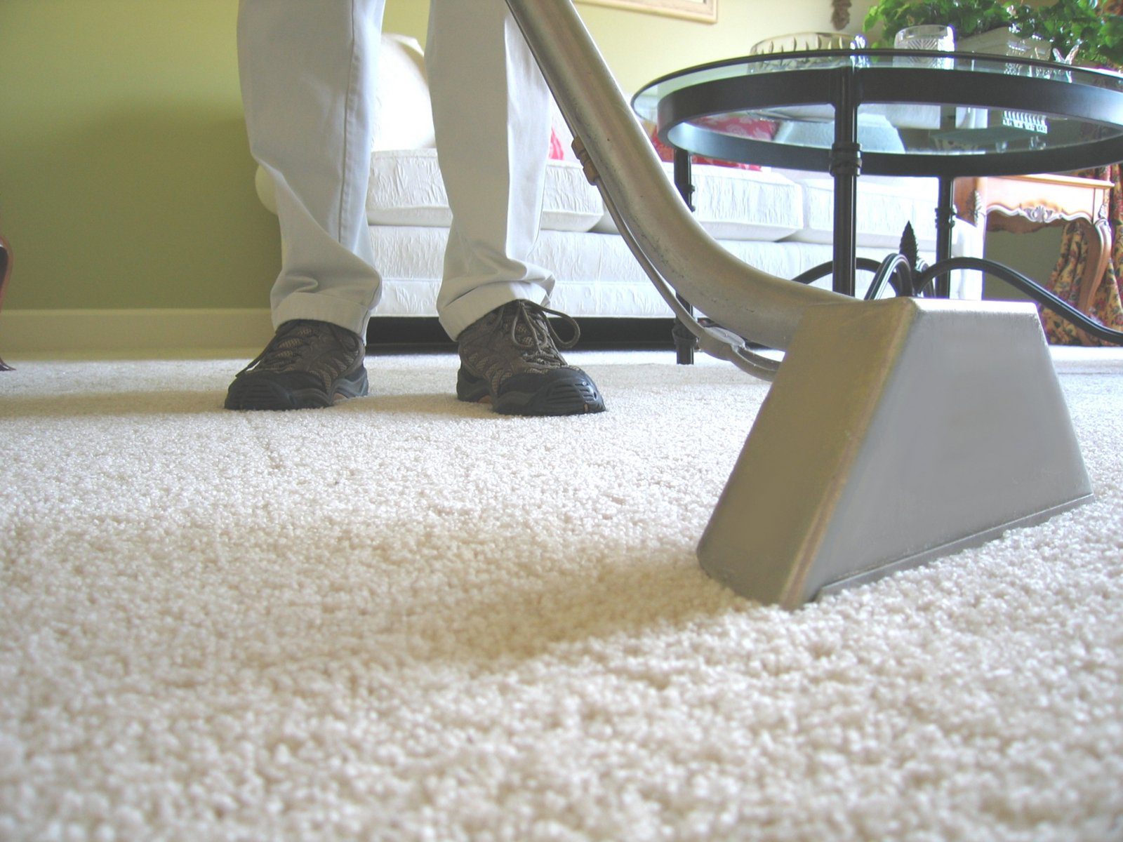 professional carpet cleaner